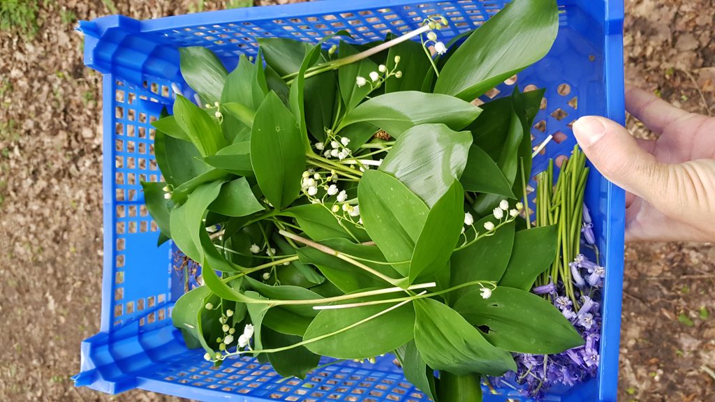 muguet-1024x576 - Nohée