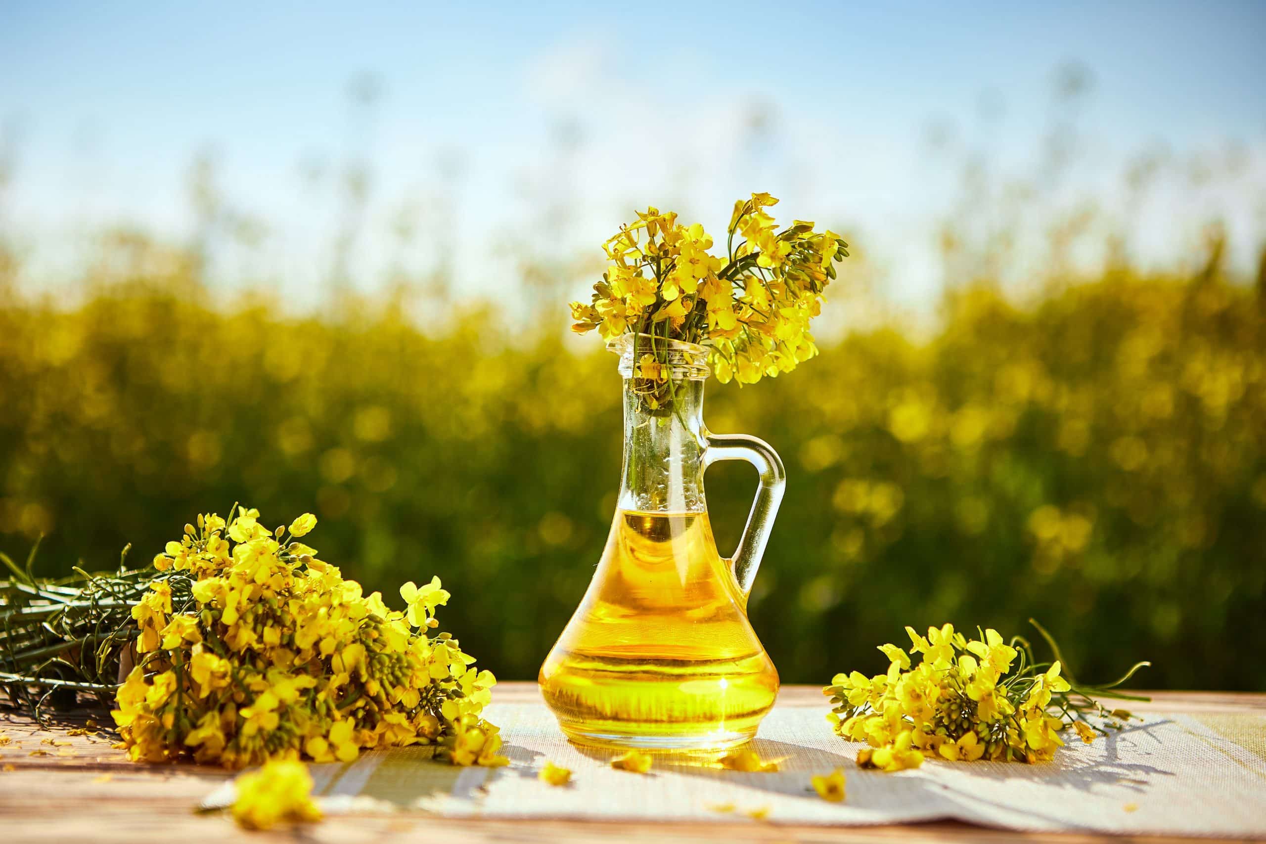 adobestock_271946485-min - Nohée