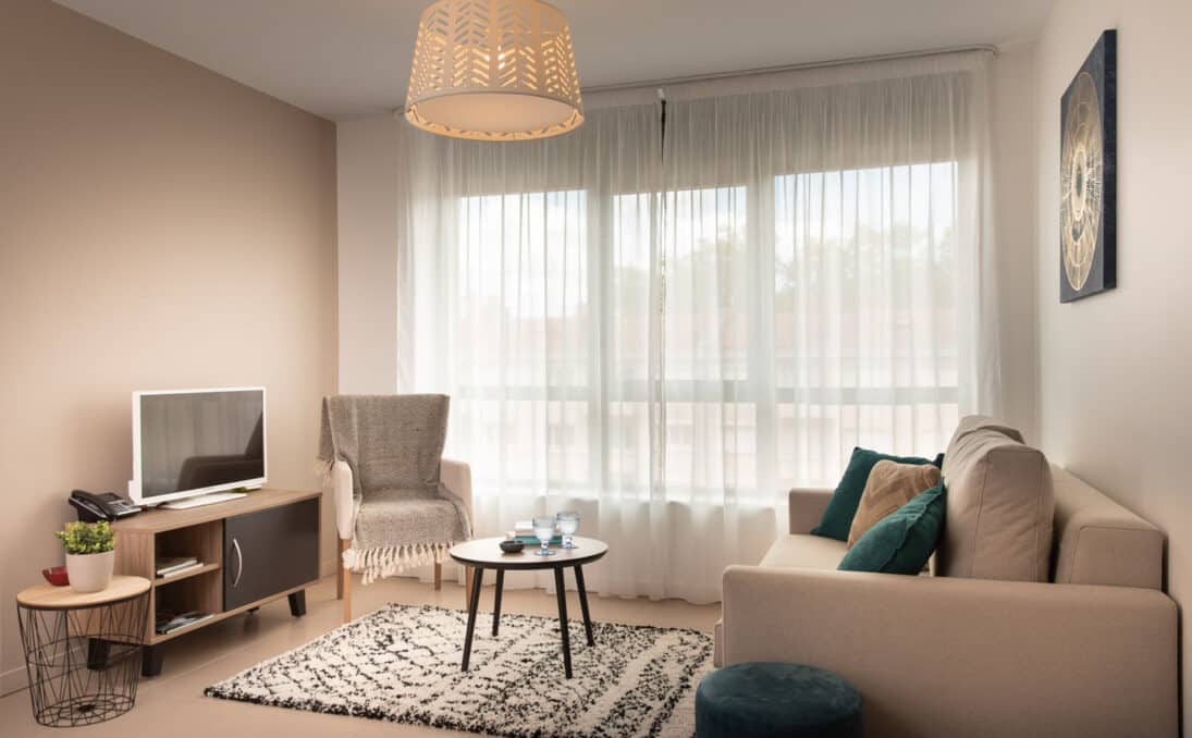Salon appartement Lyon 6